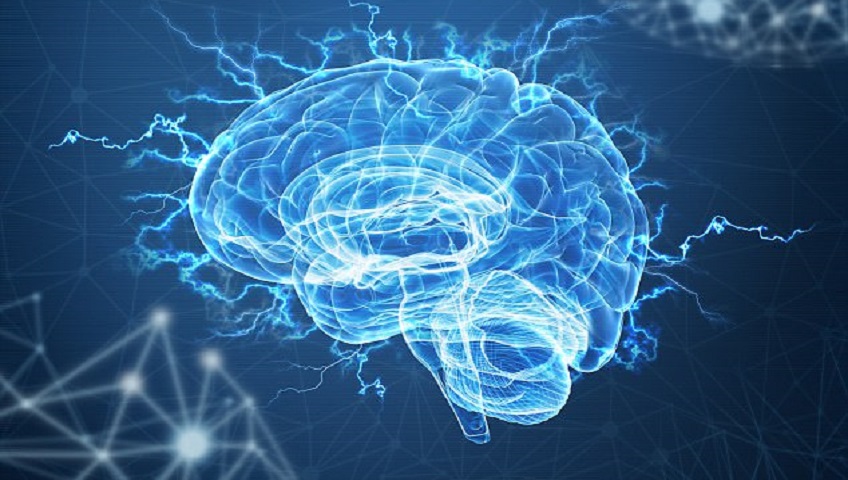 brain and cranial procedures