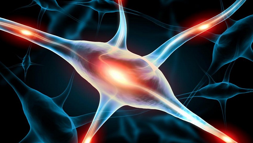 Peripheral Nervous System Treatment | NeuroSurgery Medical Associates